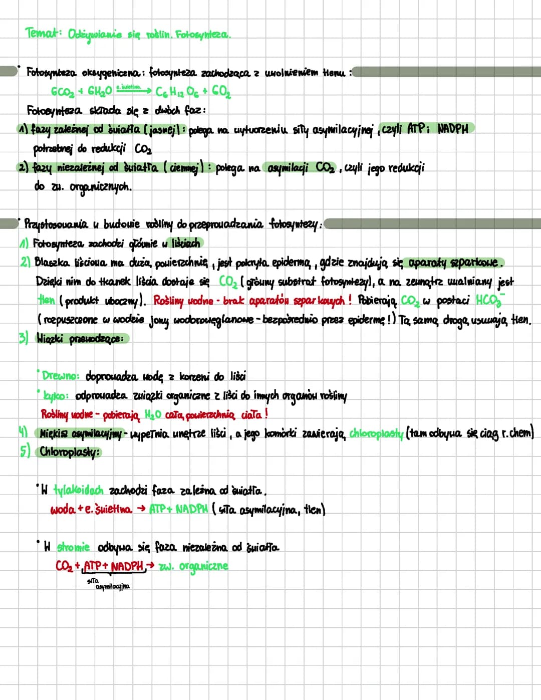 Odżywianie się roślin. Fotosynteza - biologia 