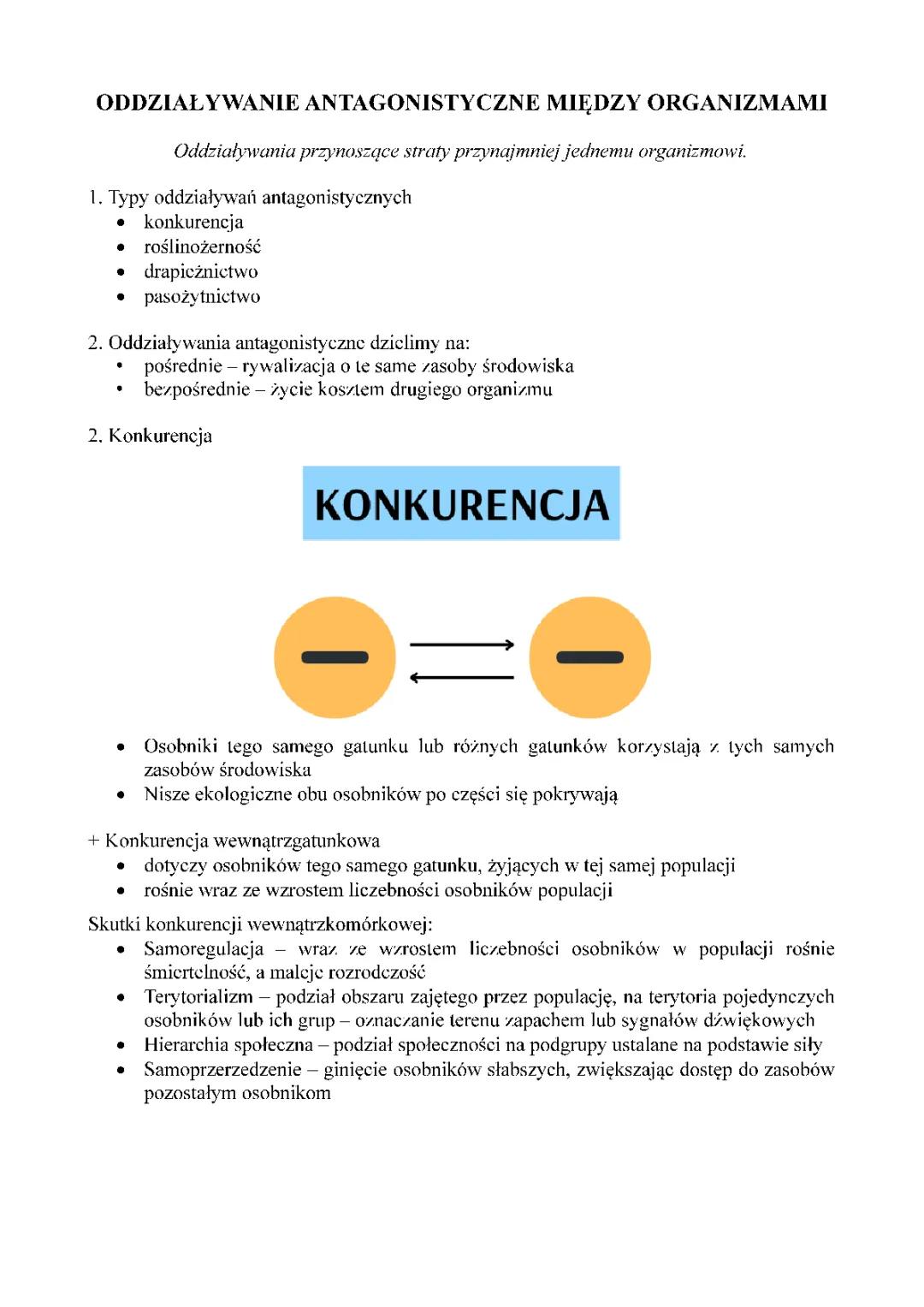 Oddziaływania między organizmami – Przykłady, drapieżnictwo i konkurencja