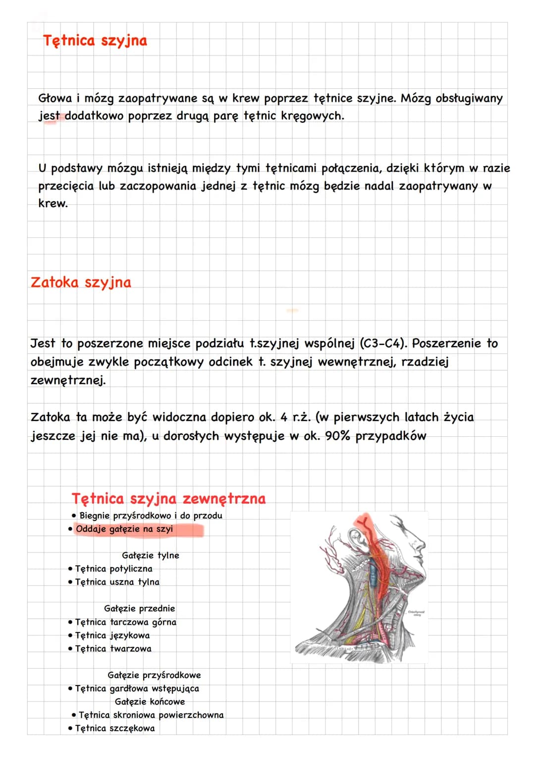 Funkcje układu krwionośnego
-Utrzymanie homeostazy organizmu
-transport gazów oddechowych do płuc i z płuc
-udział w mechanizmach odporności