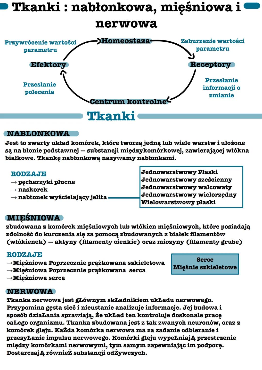 ➡ Tkanki : nabłonkowa, mięśniowa i
nerwowa
->Homeostaza-
Przywrócenie wartości
parametru
Efektory
Przesłanie
polecenia
RODZAJE
-Centrum kont