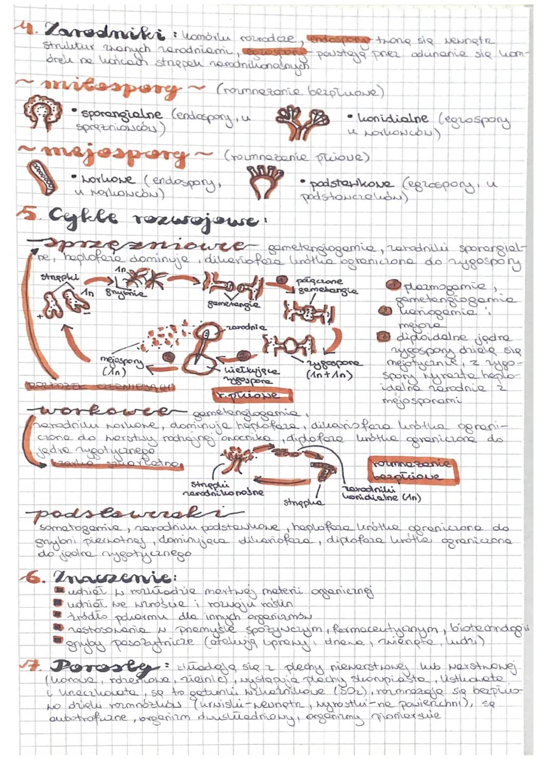 # GRZYBY I POROSEY

P. Berdowa: suena leomórkara 2 chitupy i subst rapesove gliliogeni
tuszore, liczne nalude (megerynyje hode. trewig)
*   