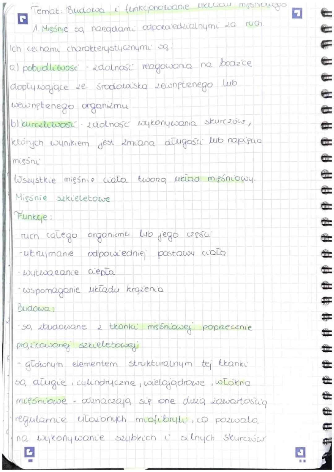 Budowa i funkcjonowanie układu mięśniowego 