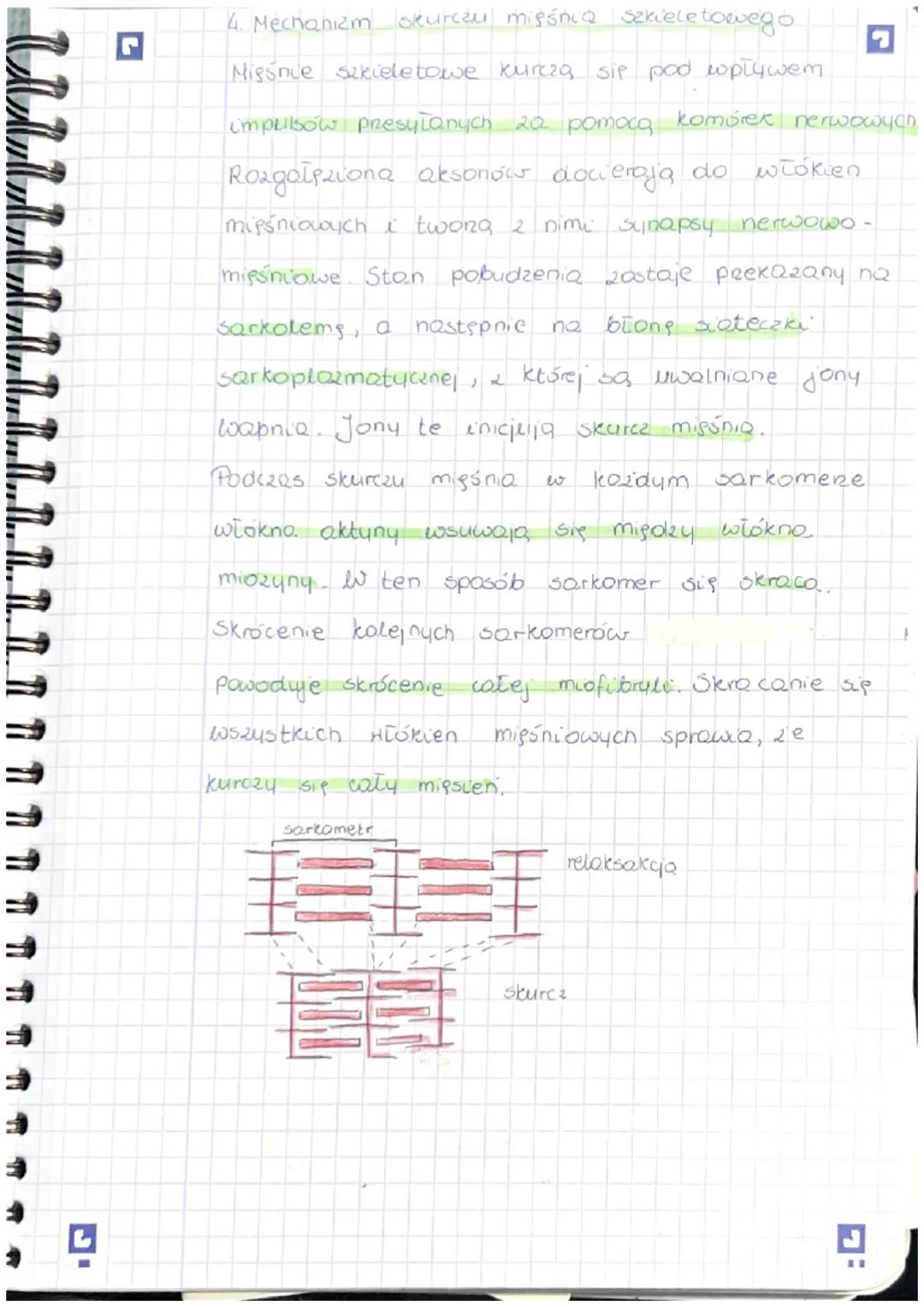 Temat: Budowa i funkcjonowanie Uklway misoniowego
r
1. Mięśnie sa narądami odpowiedzialnymi 20
Ich cechame charakterystycznymi sq. 1
a) pobu