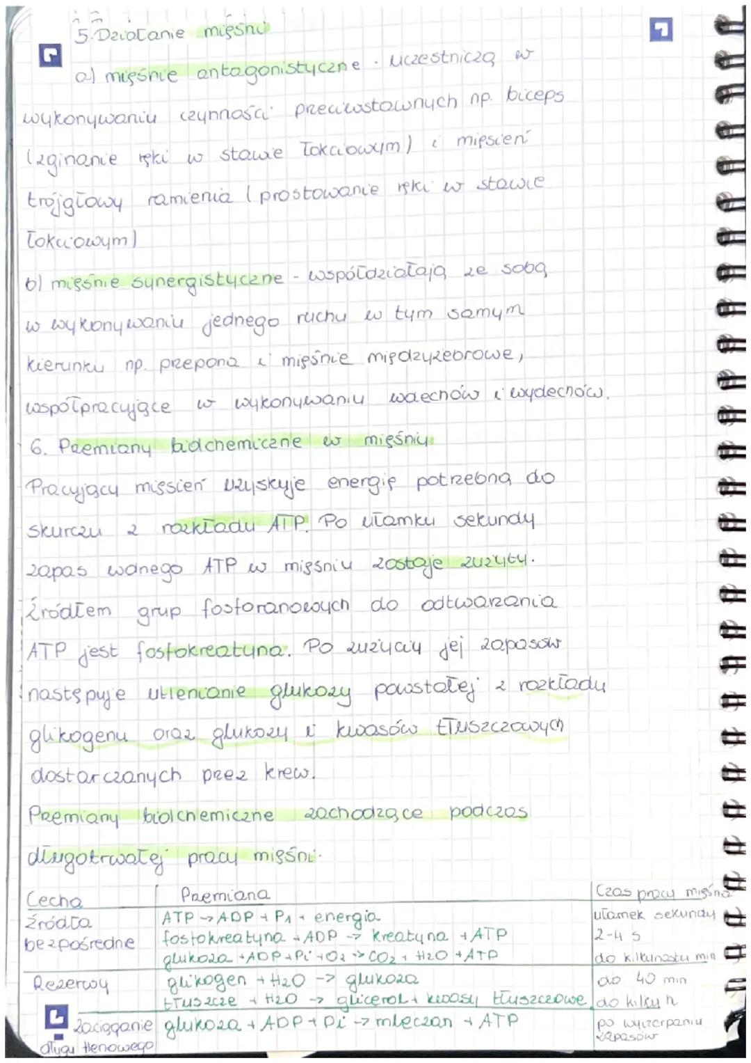 Temat: Budowa i funkcjonowanie Uklway misoniowego
r
1. Mięśnie sa narądami odpowiedzialnymi 20
Ich cechame charakterystycznymi sq. 1
a) pobu