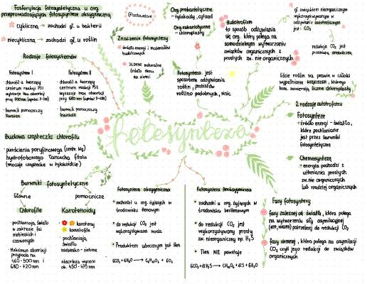 Know fotosynteza-mapa myśli  thumbnail