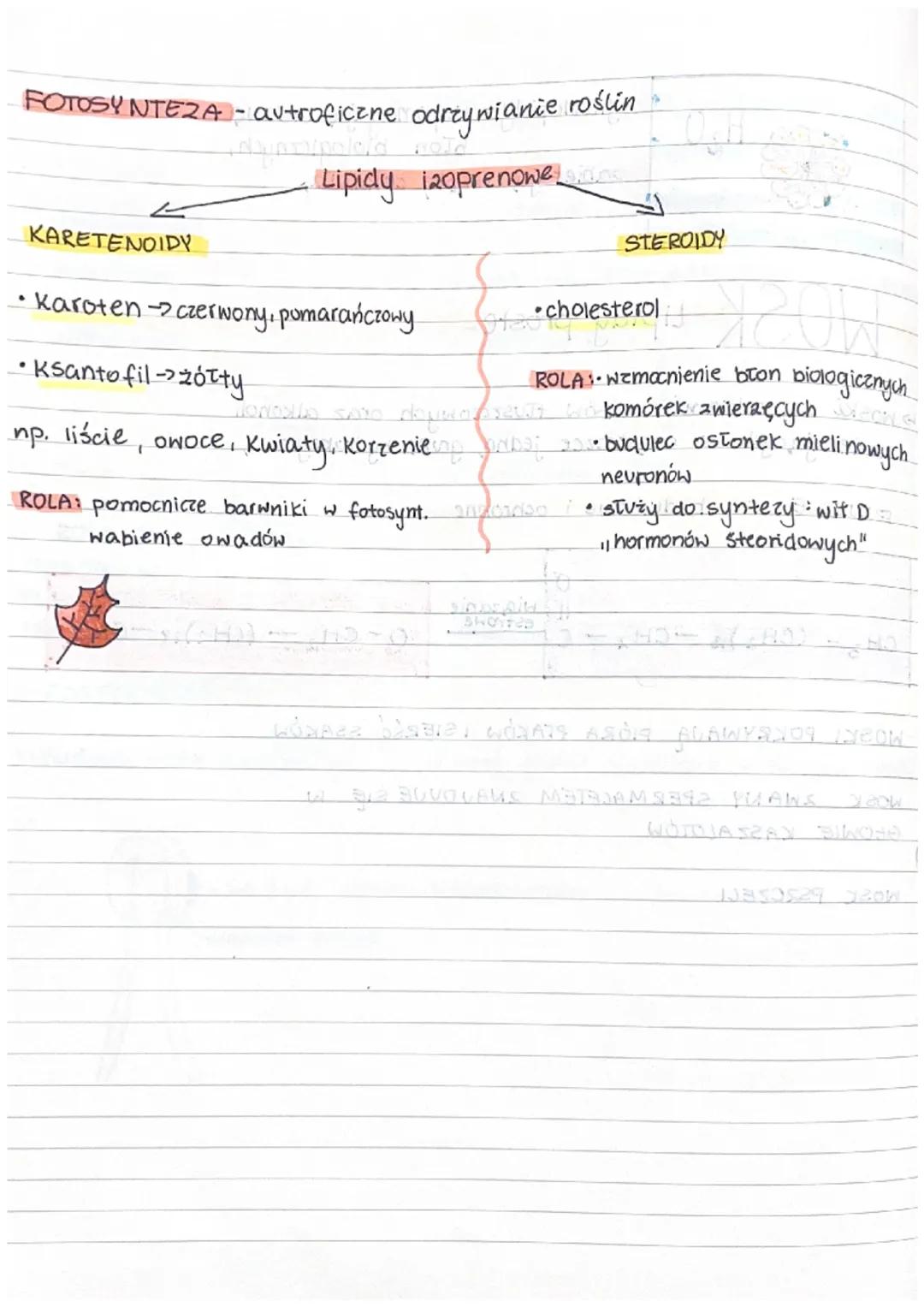 BUDOWA I
lipidy składają się 2 C. H₂O, P, N. Ze względu na niepolarna,
budowę, cząsteczek lipidy należa do związków hydrofobowych.
czyli nie