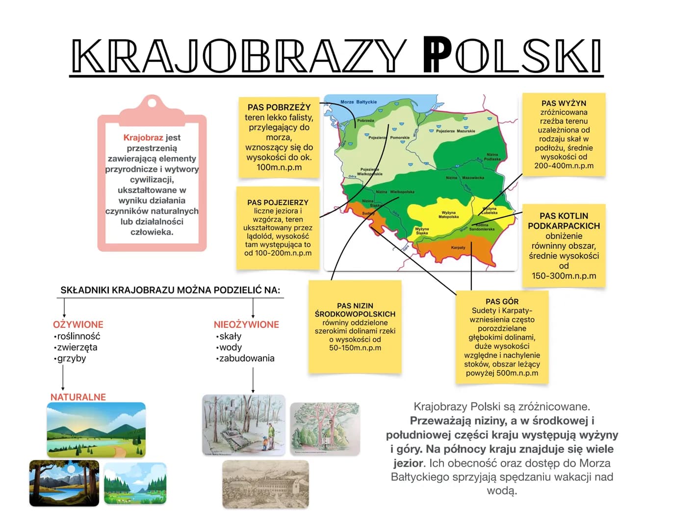 KRAJOBRAZY POLSKI
PAS POBRZEŻY
teren lekko falisty,
przylegający do
morza,
wznoszący się do
wysokości do ok.
100m.n.p.m
OŻYWIONE
•roślinność