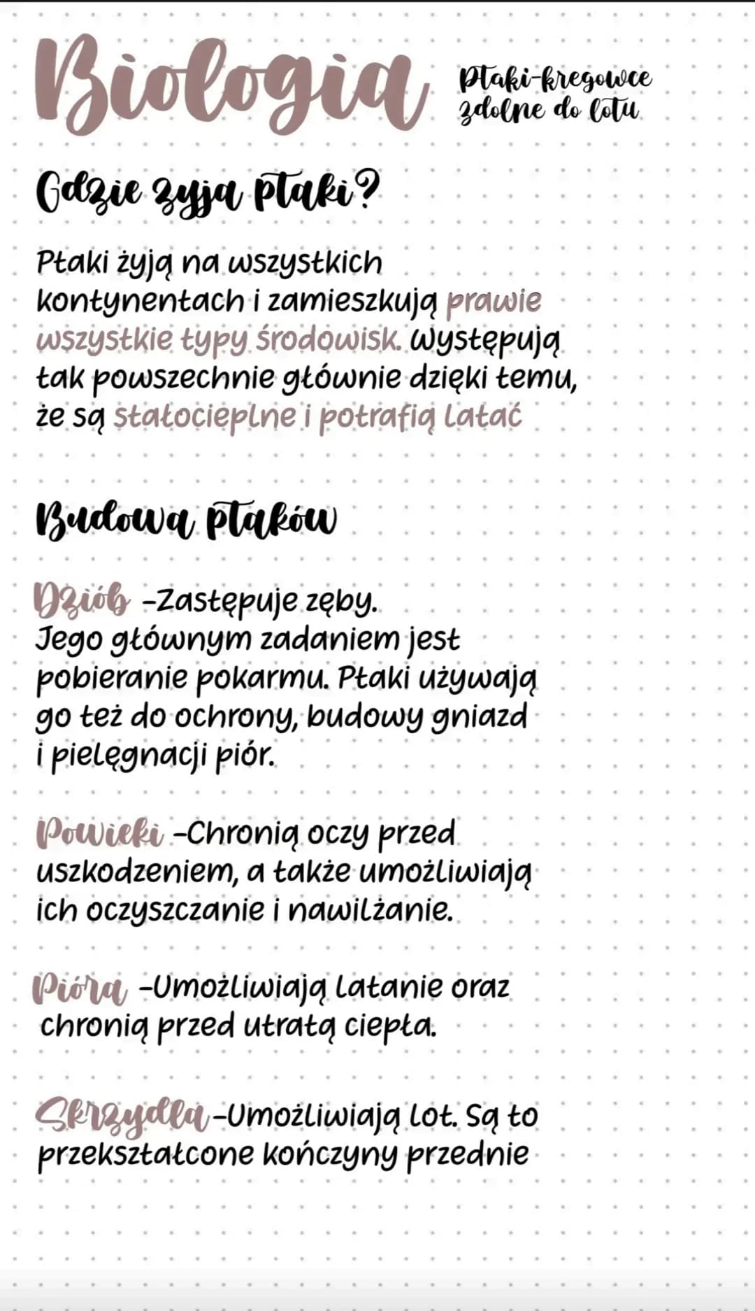 Sterowki -To sztywne pióra
ogonowe. Umożliwiają one
utrzymywanie równowagi podczas
Lotu i kierowania lotem.
Lotki-To sztywne pióra, które są