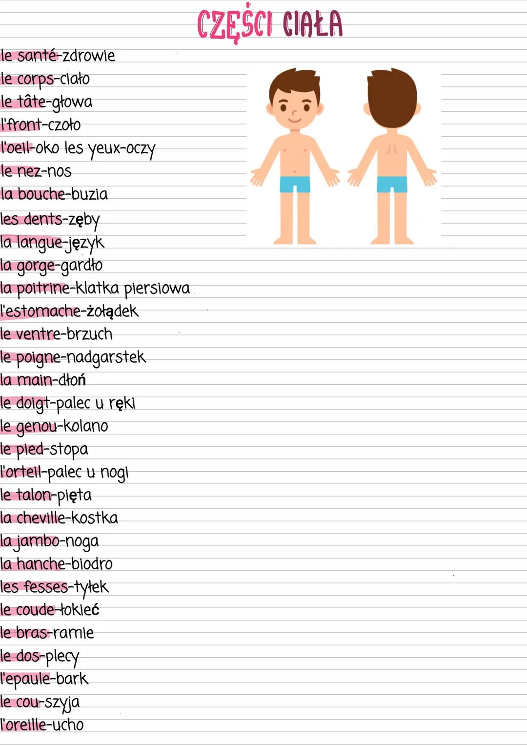 Części ciała po francusku z użyciem słów kluczowych