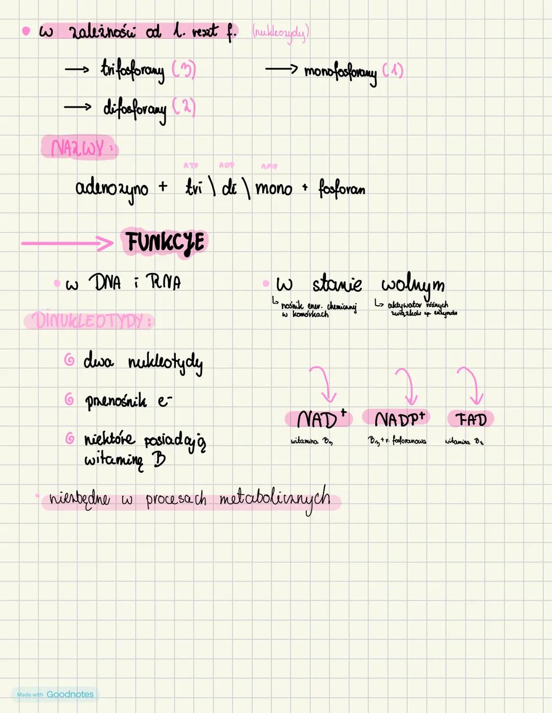 nukleotydy
budowa
* węgiel (C)
wodór (H)
then (0)
azot (N)
fosfor (P)
*
*
*
wiązanie
estrowe
reszta kwasu
fosforowego
r\d
x. anotowa
Made wi
