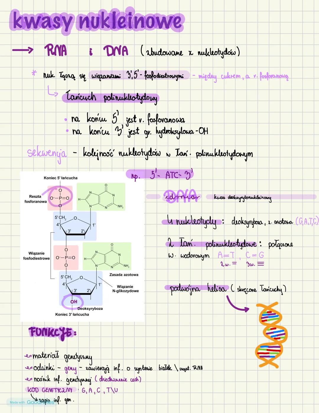 nukleotydy
budowa
* węgiel (C)
wodór (H)
then (0)
azot (N)
fosfor (P)
*
*
*
wiązanie
estrowe
reszta kwasu
fosforowego
r\d
x. anotowa
Made wi