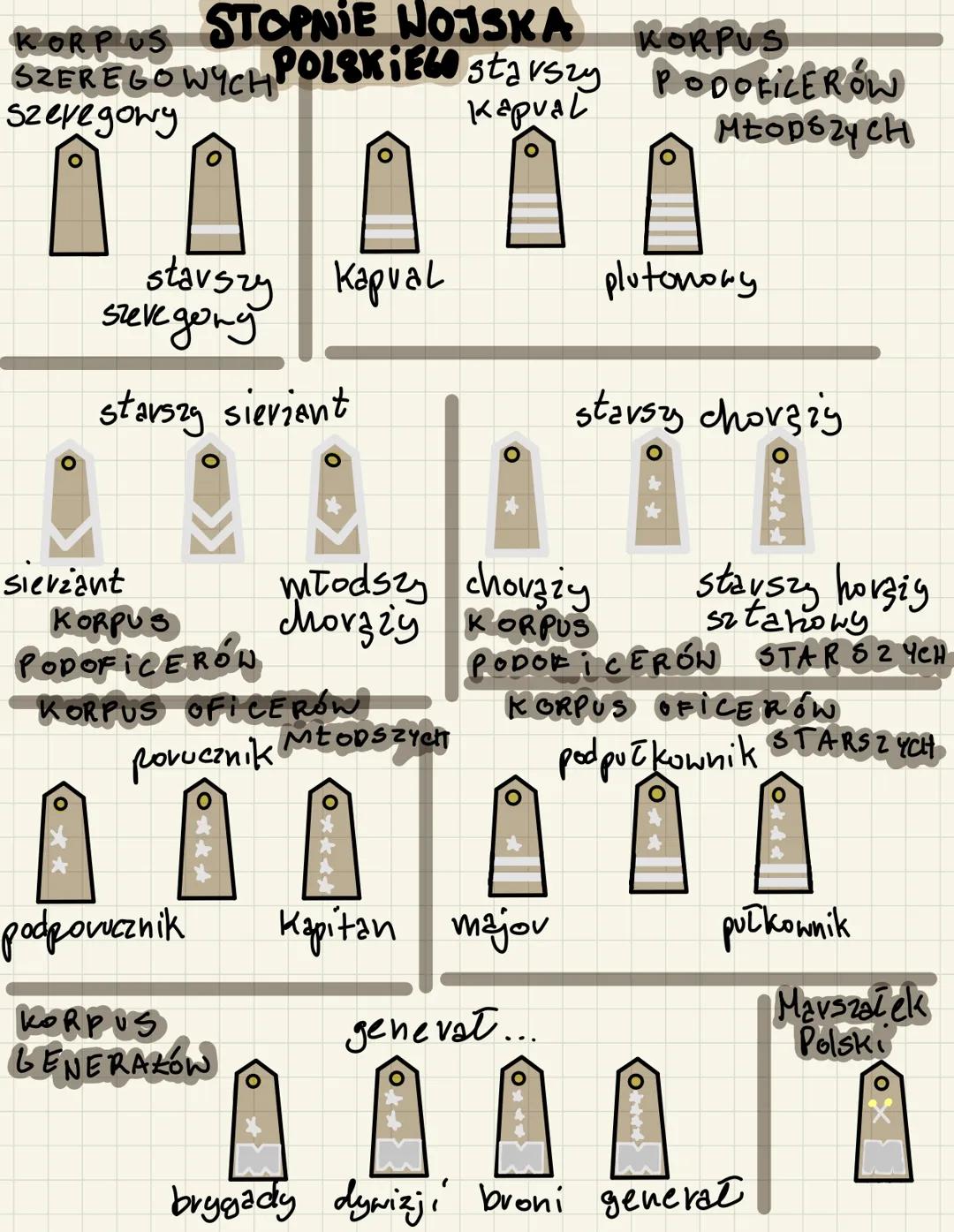 KORPIOS STOPNIE WOJSKA
SZEREGO WYCH POLSKIEGO starszy PODOFILERÓW
KORPUS
Szeregowy
Kapval
Mtop6zyCH

starszy Kapval
plutonory
szeve gong

st