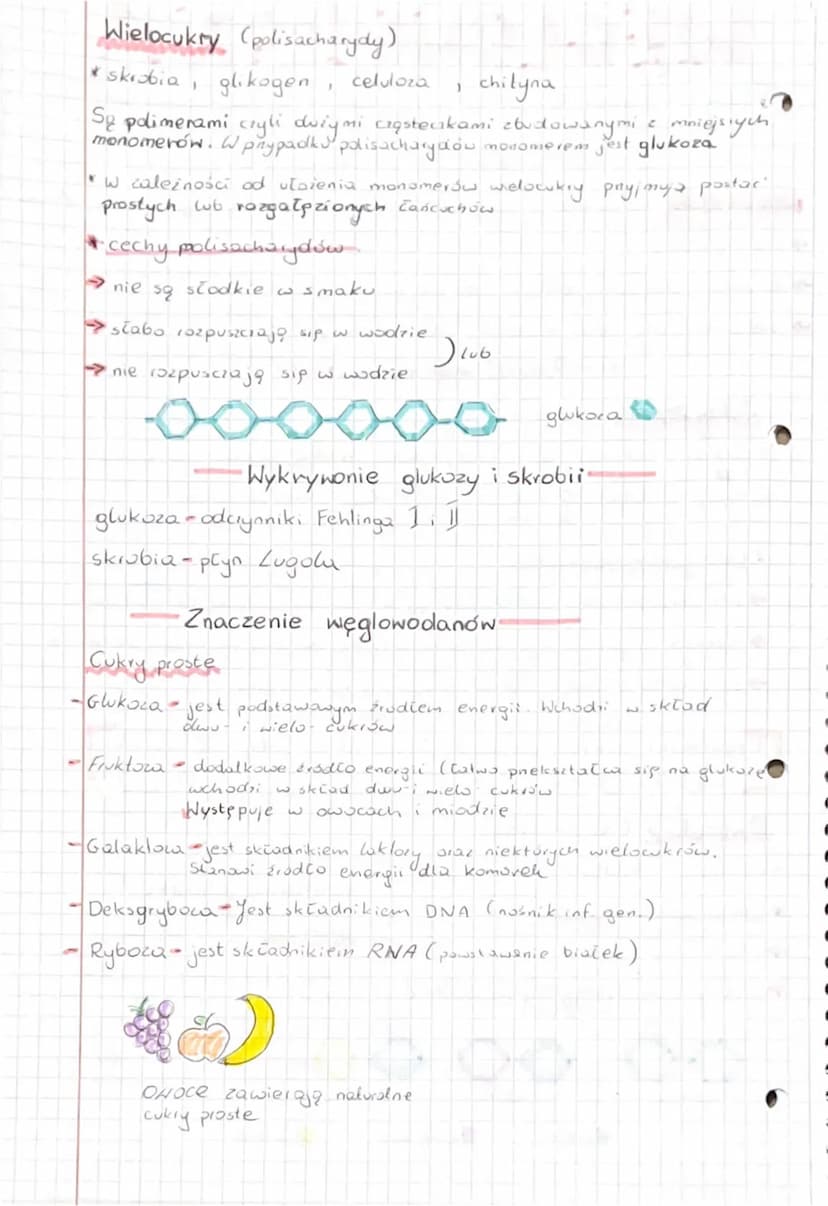 
<h2 id="podziawglowodanw">Podział węglowodanów</h2>
<p>Węglowodany dzielimy na trzy główne grupy: cukry proste (monosacharydy), dwucukry (d