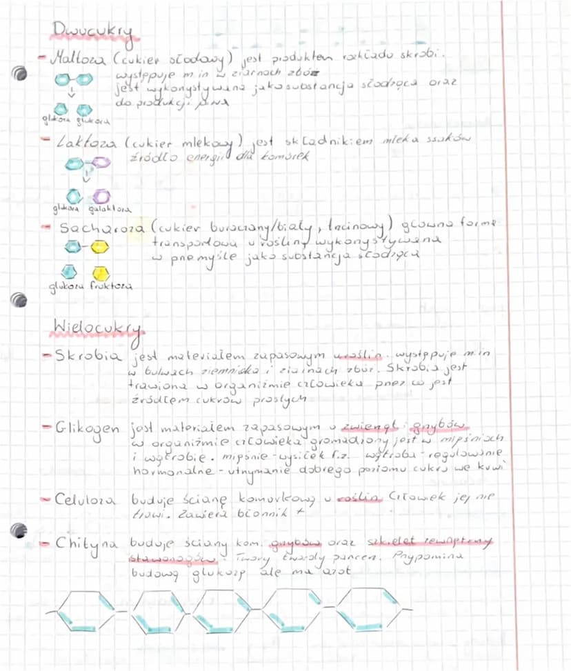
<h2 id="podziawglowodanw">Podział węglowodanów</h2>
<p>Węglowodany dzielimy na trzy główne grupy: cukry proste (monosacharydy), dwucukry (d