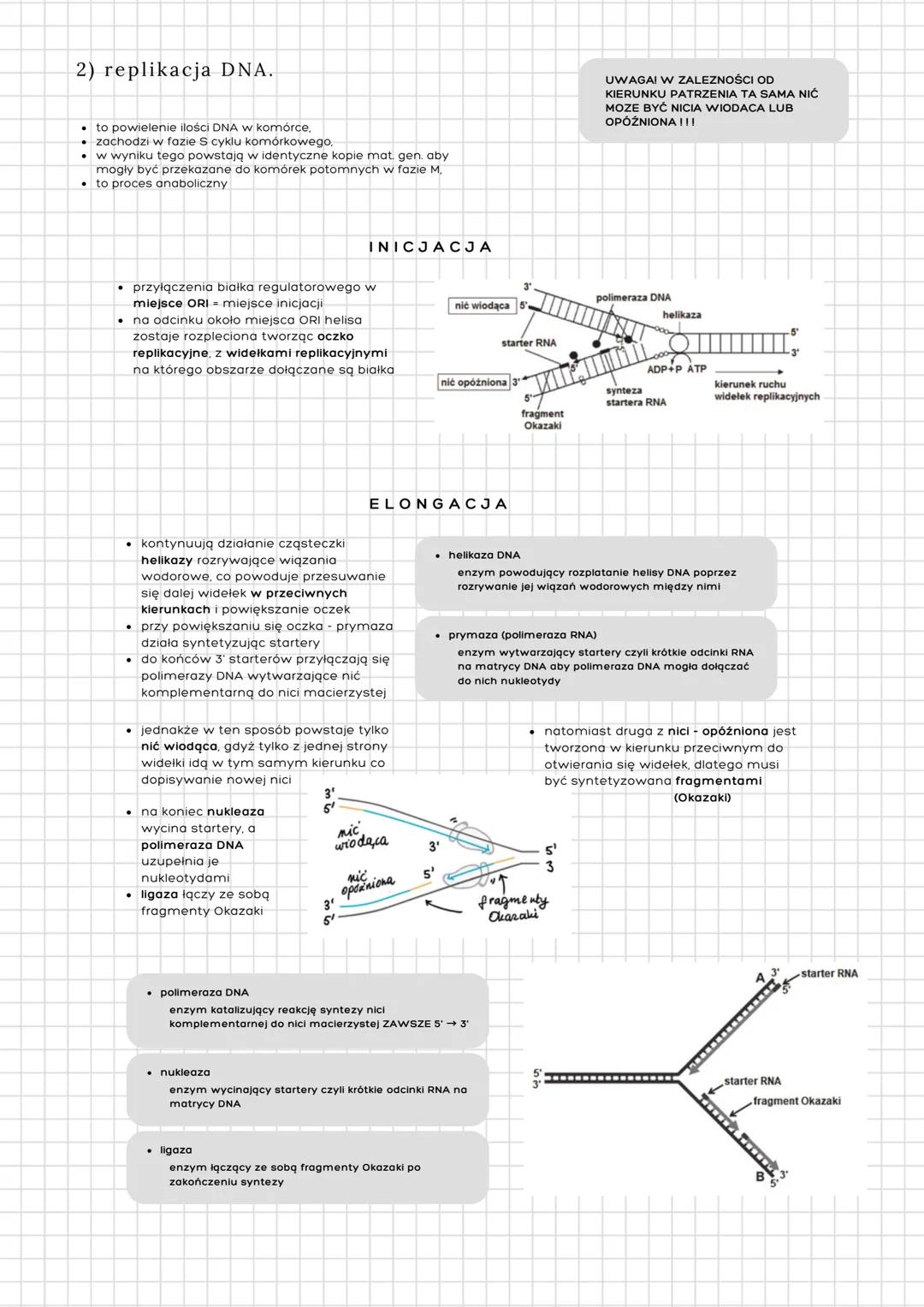 # genetyka molekularna

1) budowa i rola kwasów nukleinowych.

*   Nośniki informacji genetycznej:
    *   DNA u wszystkich eukariontów i cz