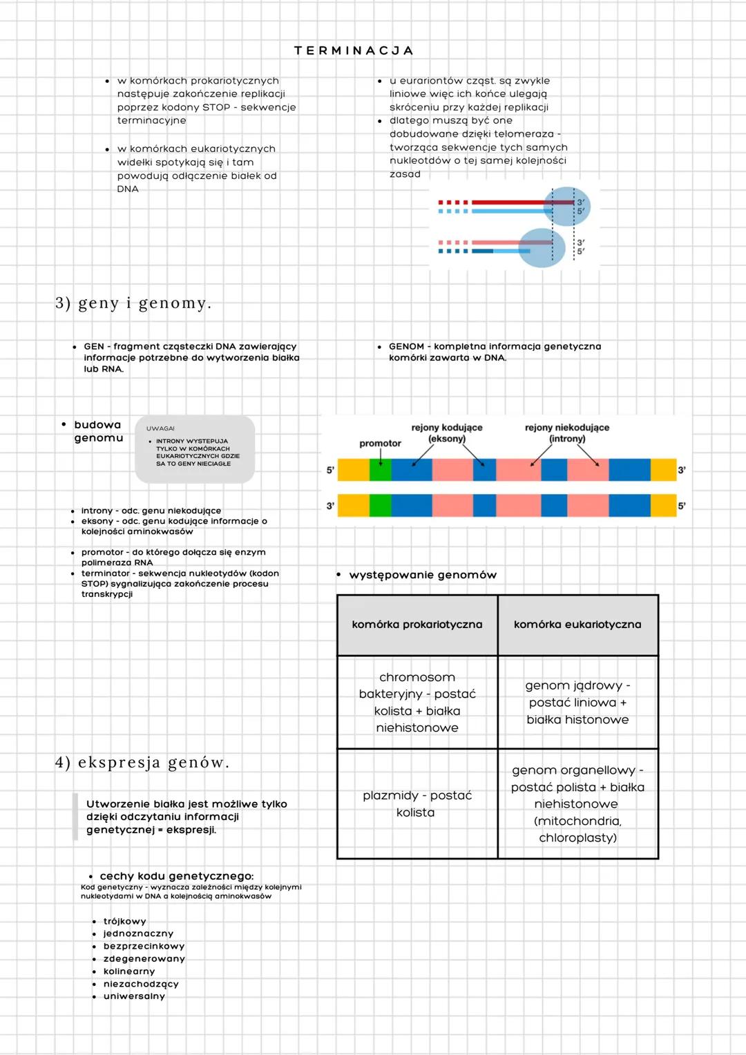 # genetyka molekularna

1) budowa i rola kwasów nukleinowych.

*   Nośniki informacji genetycznej:
    *   DNA u wszystkich eukariontów i cz