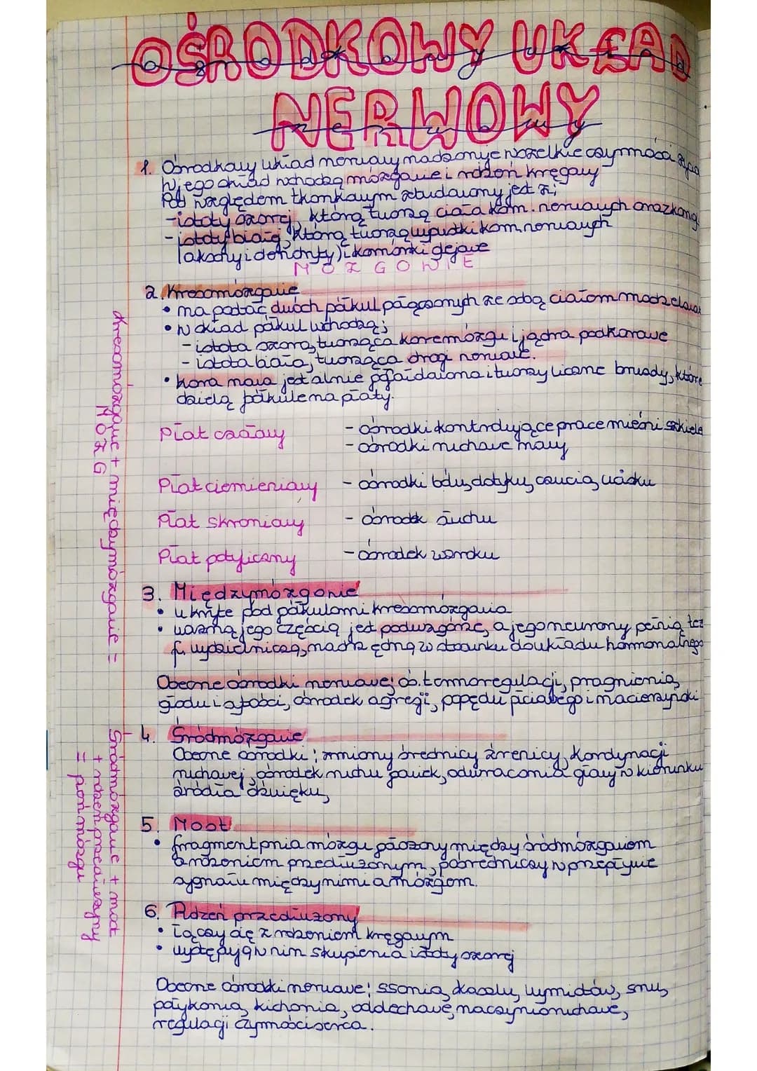 
<p>Ośrodkowy układ nerwowy składa się z obwodowego układu nerwowego oraz ośrodkowego układu nerwowego. Ośrodkowy układ nerwowy jest ważnym 