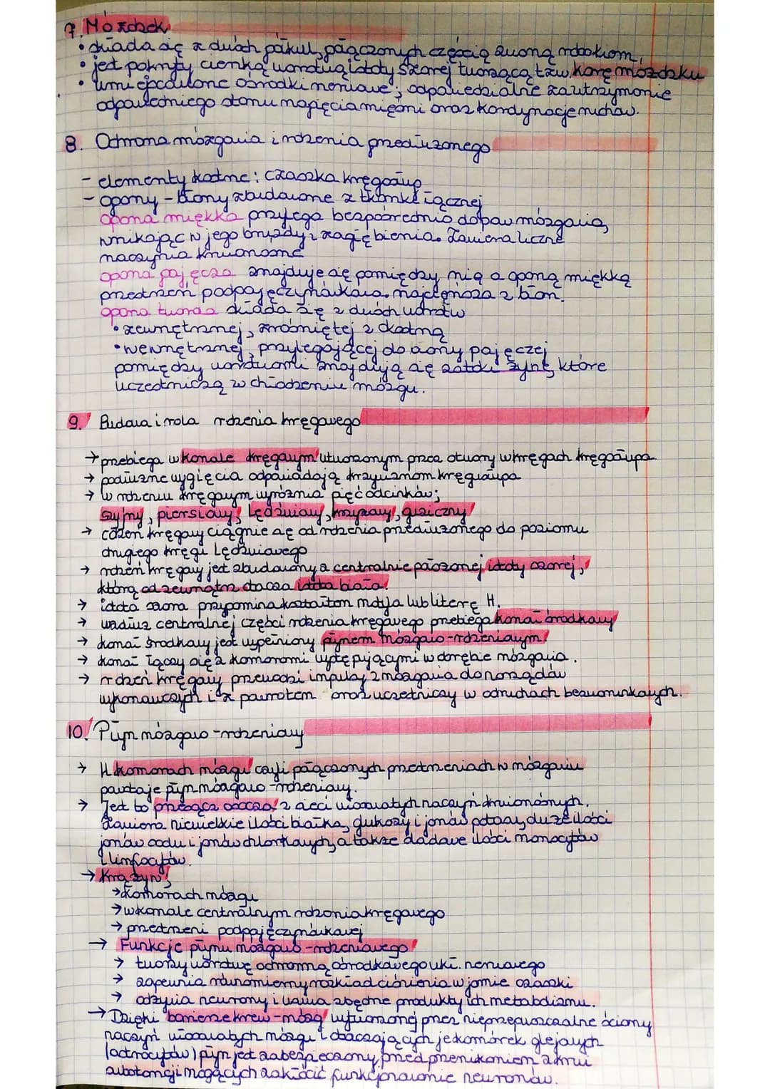 
<p>Ośrodkowy układ nerwowy składa się z obwodowego układu nerwowego oraz ośrodkowego układu nerwowego. Ośrodkowy układ nerwowy jest ważnym 