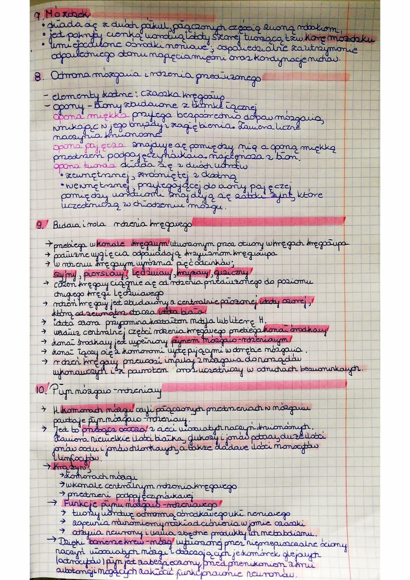 
<p>Ośrodkowy układ nerwowy składa się z obwodowego układu nerwowego oraz ośrodkowego układu nerwowego. Ośrodkowy układ nerwowy jest ważnym 