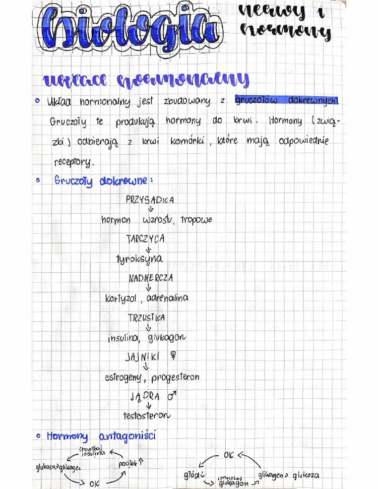 Know Regulacja nerwowo-hormonalna thumbnail