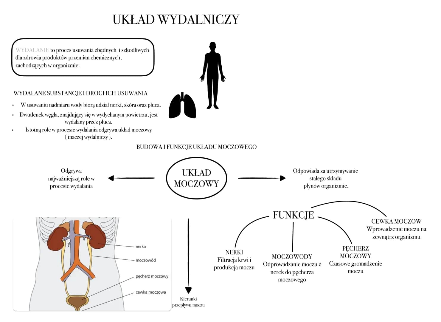UKŁAD WYDALNICZY
WYDALANIE to proces usuwania zbędnych i szkodliwych
dla zdrowia produktów przemian chemicznych,
zachodzących w organizmie.
