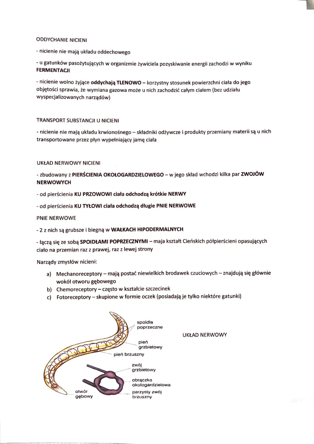 NICIENIE - ZWIERZĘTA O OBŁYM, NIECZŁONOWANYM CIELE
- występują w różnorodnych środowiskach:
- dna mórz
- głębiny oceaniczne
- wody słodkie
-