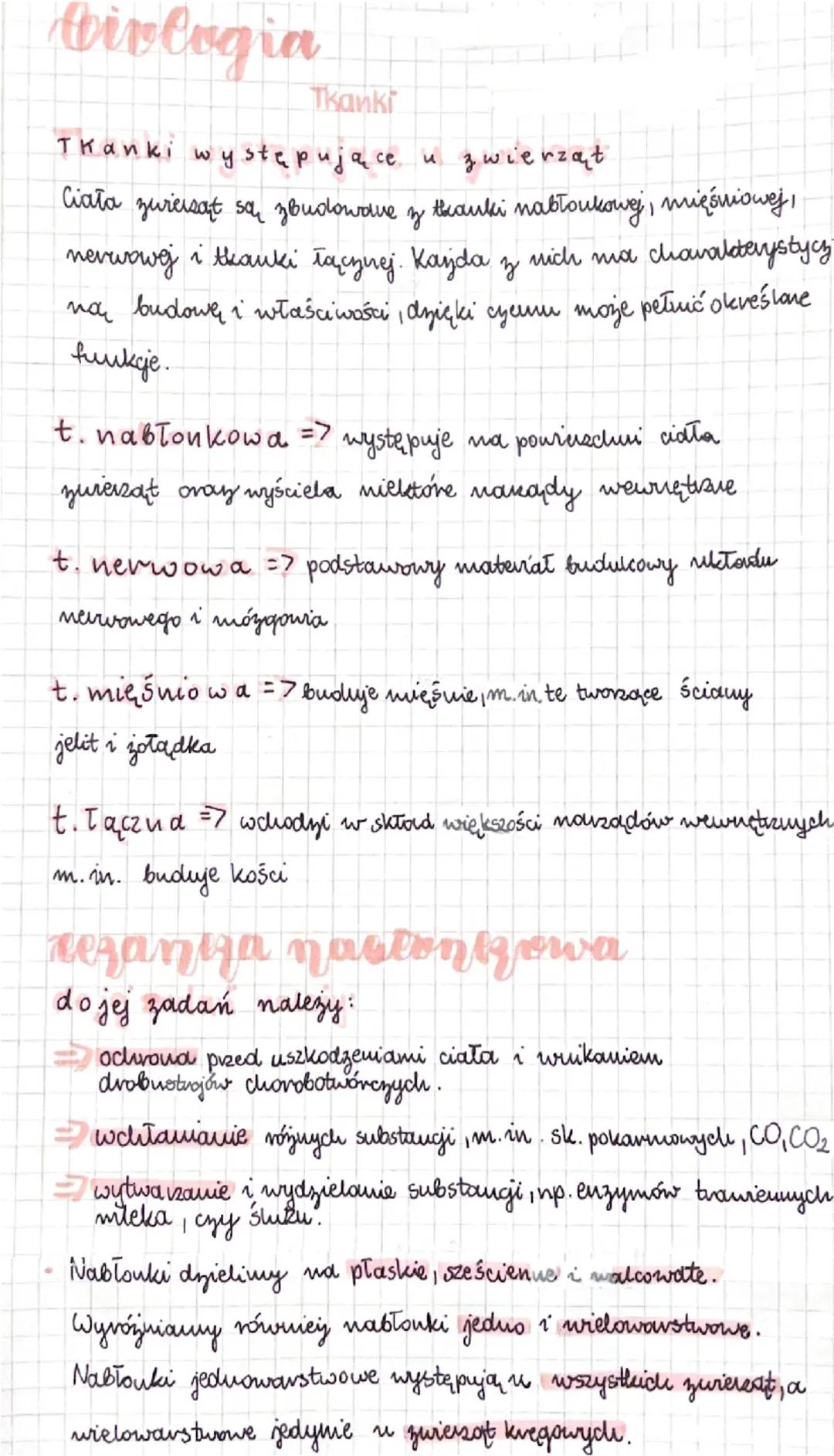# birlogia

Tkanki

Thanki występujące u zwierząt

Ciała zurersat sa zbudowave z tkanki nabłonkowej, mięśniowej,
nevrwowej i tkanki łącznej.