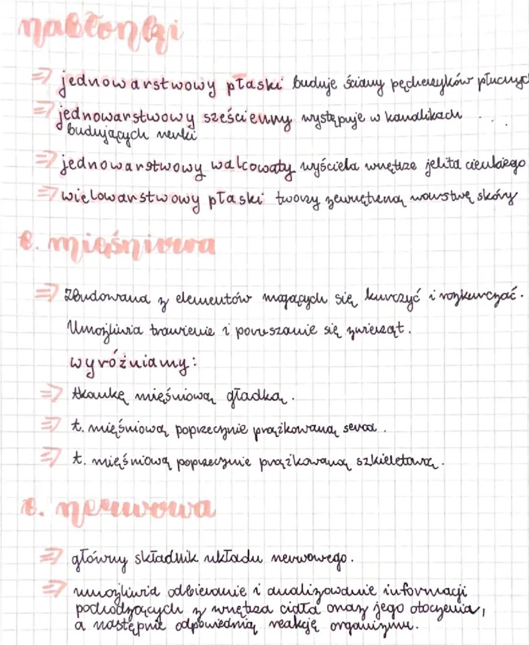# birlogia

Tkanki

Thanki występujące u zwierząt

Ciała zurersat sa zbudowave z tkanki nabłonkowej, mięśniowej,
nevrwowej i tkanki łącznej.