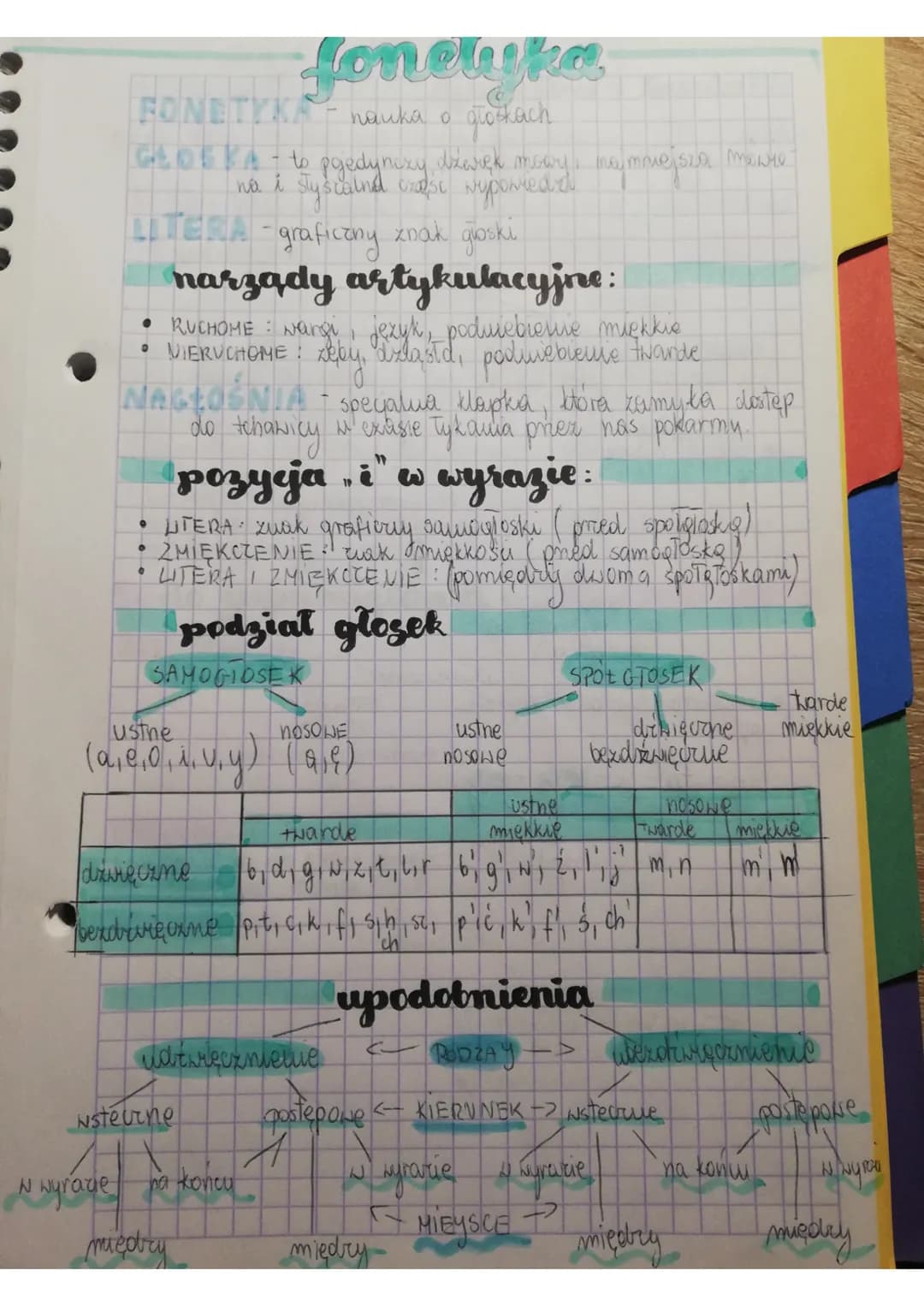 FONETYKA - nauka o głotach
G10584 - to pojedynixy dzwięk mowy, najmniejsza mawie
styscalind crabse Nyported d
i
W wyrade
LITERA - graficzny 