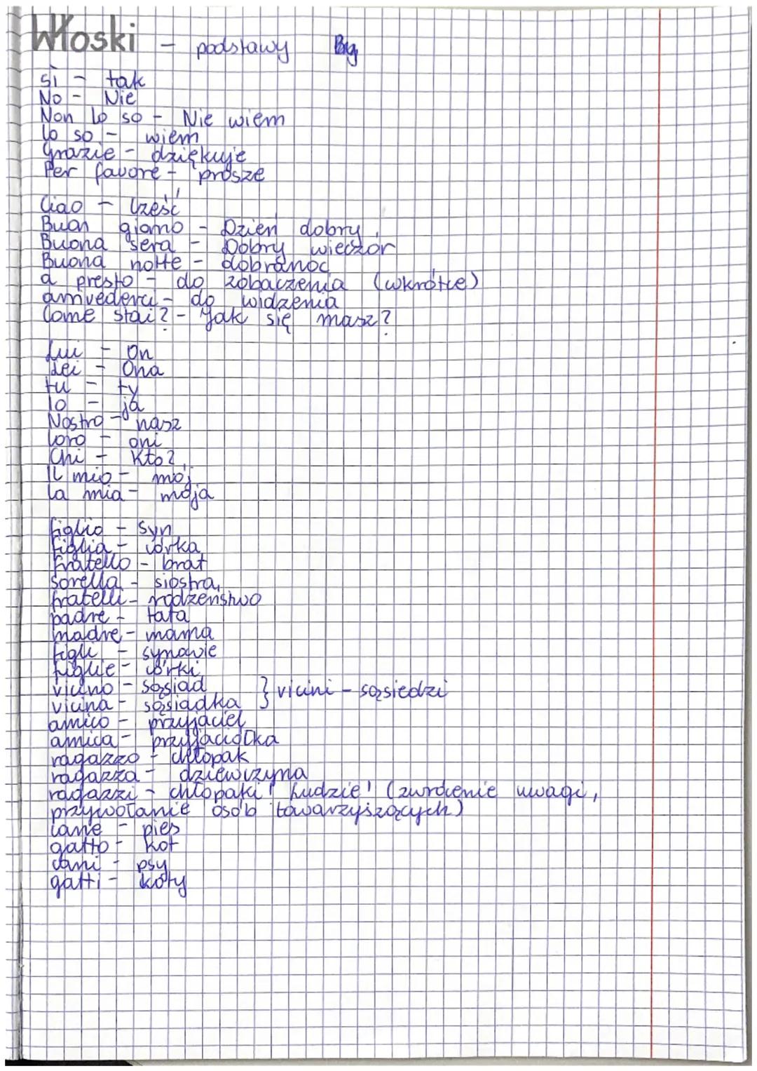 Podstawy Języka Włoskiego - Słowa i Zwroty