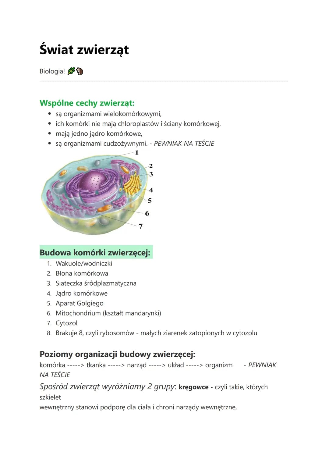 Świat zwierząt
Biologia!
Wspólne cechy zwierząt:
• są organizmami wielokomórkowymi,
• ich komórki nie mają chloroplastów i ściany komórkowej