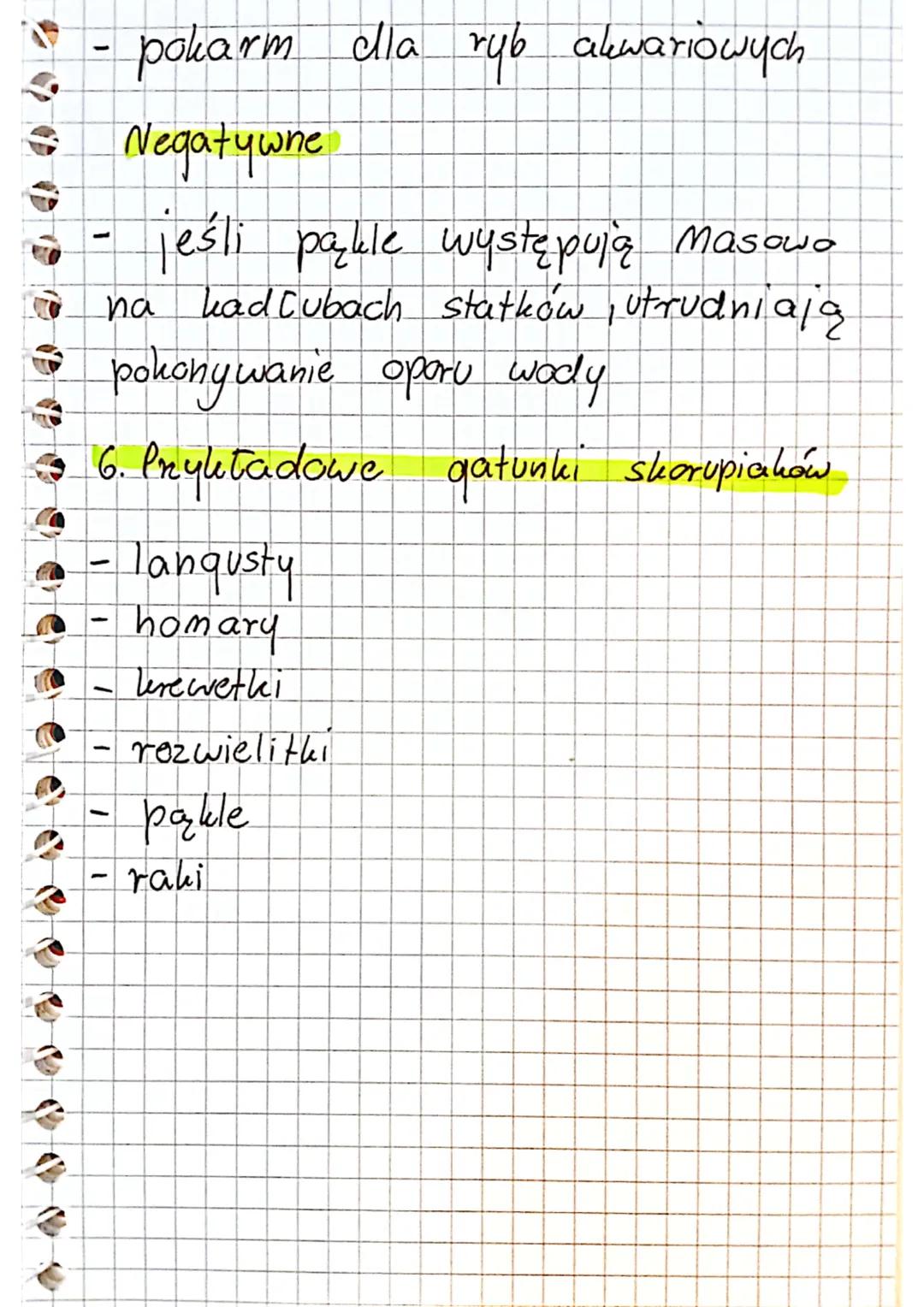 @Sareneczka_xme

Biologia kl. 6

- Stawonogi, które mają twardy pancerz

1. Środowisko żuria
- głównie wody stone o dużym
 zasoleniu
- wody 