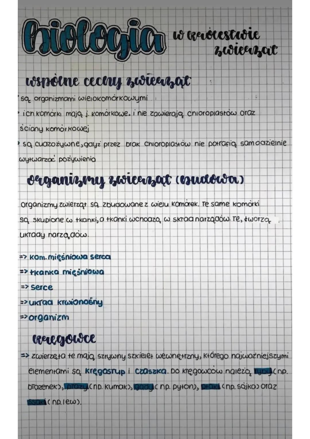Królestwo zwierząt 