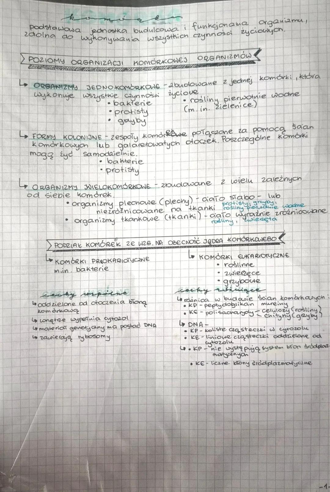 Komórka w Biologii Rozszerzonej - Notatka