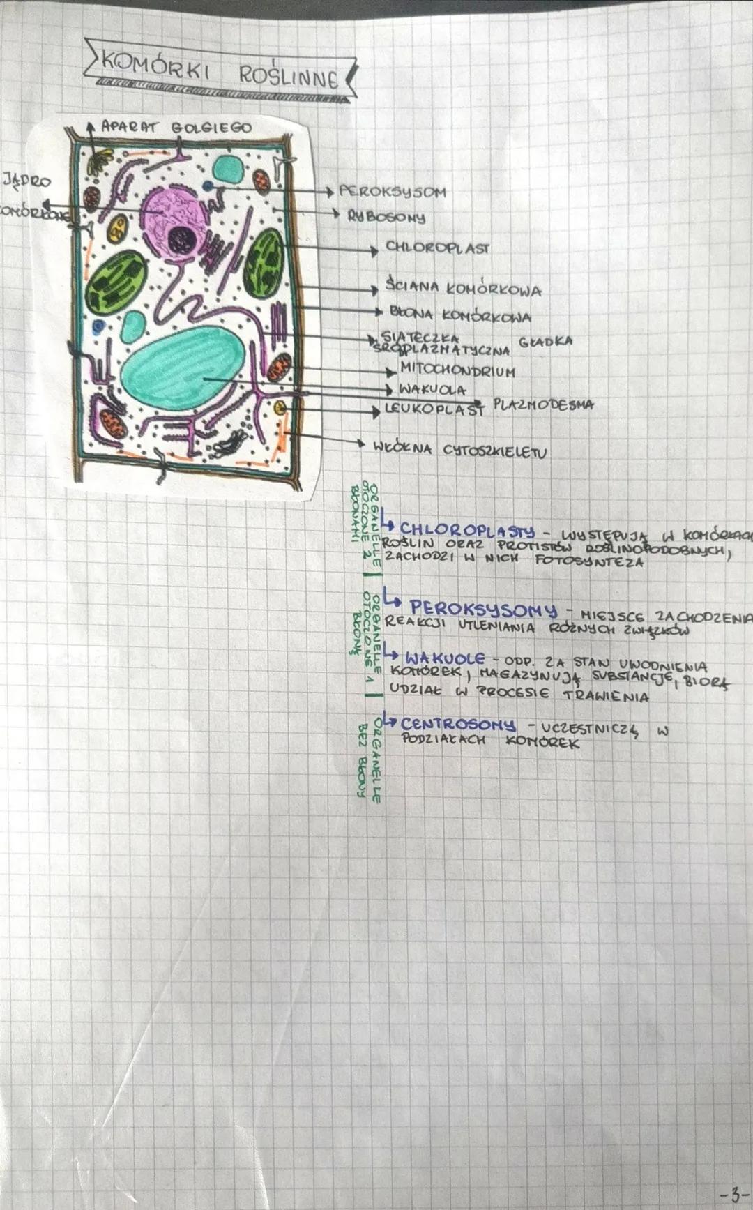 قسط
zdolna do wykonywania wszystkich czynności życiowych.
Podstawowa jednostka budulcowa i funkcjonama organizmu,
POZIOMY ORGANIZACJ
manum M