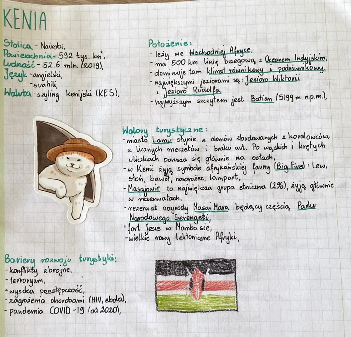 KENIA
Stolica - Nairobi,
Powierzchnia-592 tys. km²,
Ludność-52.6 mln. (2019),
Język angielski,
-svahili,
Waluta-sayling kenijski (KES),
Bavi