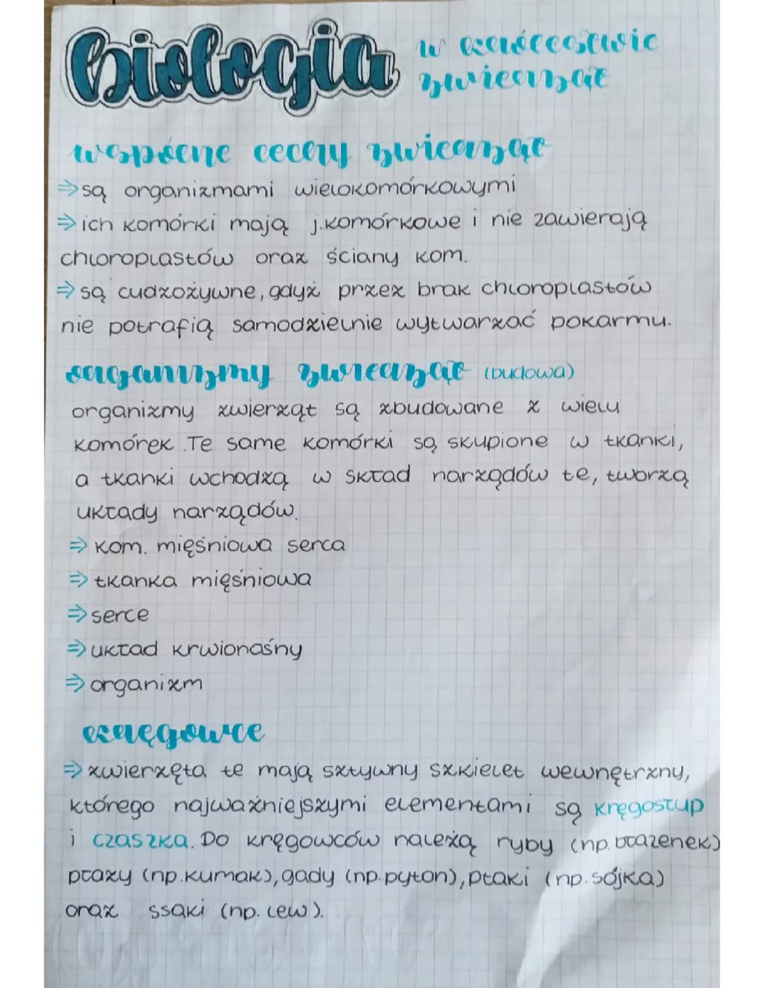 W królestwie zwierząt 