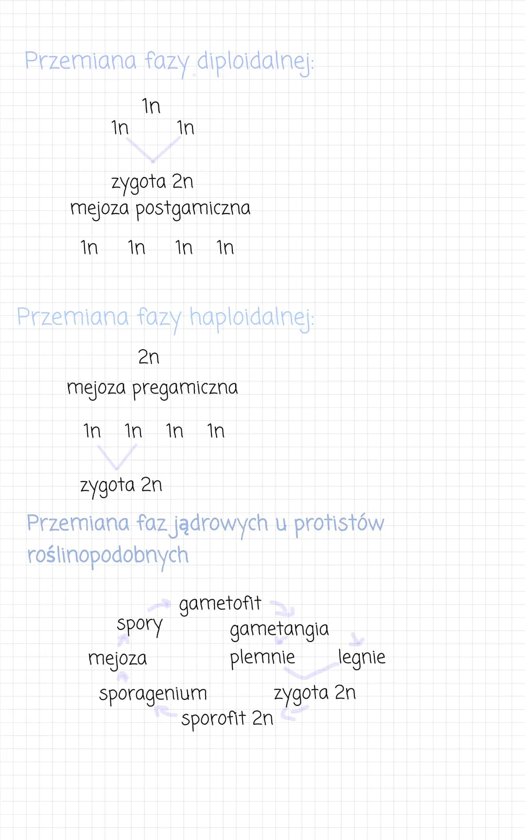 zwierzece
kolonijne lub
jednokomórkowe.
Przypominaja
●
komórkowa). Sa
heterotrofami.
- wielokomórkowe
• komórczakowe
komorki
zwierzece (nie 