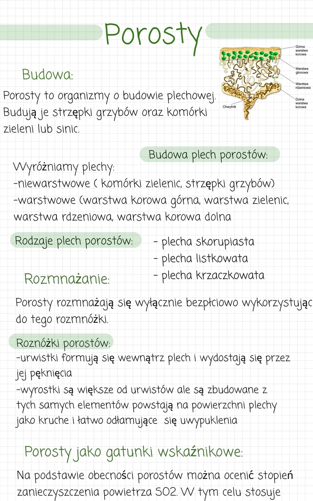 zwierzece
kolonijne lub
jednokomórkowe.
Przypominaja
●
komórkowa). Sa
heterotrofami.
- wielokomórkowe
• komórczakowe
komorki
zwierzece (nie 