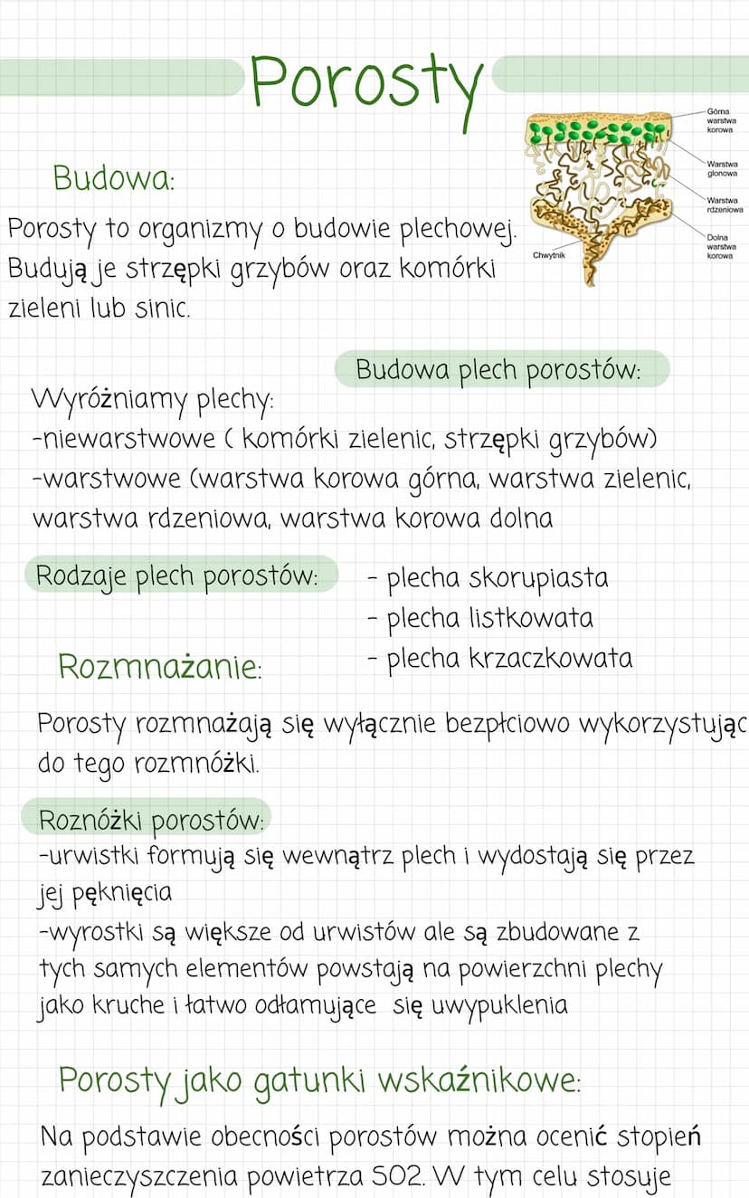 zwierzece
kolonijne lub
jednokomórkowe.
Przypominaja
●
komórkowa). Sa
heterotrofami.
- wielokomórkowe
• komórczakowe
komorki
zwierzece (nie 