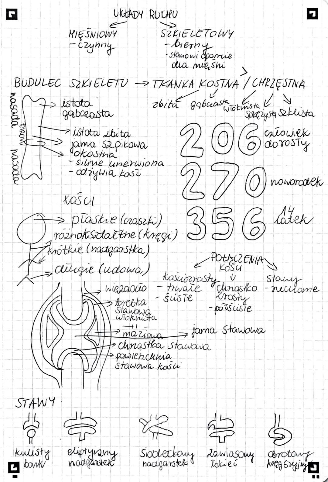 nasada
nasada
>
BUDULEC SZKIELETU → TKANKA KOSTNA/CHRZESTNA
know
O
30
MIĘŚNIOWY
- czynny
STAWY
UKŁADY RUCHU
Listata
gabozasta
SUC
istota bit