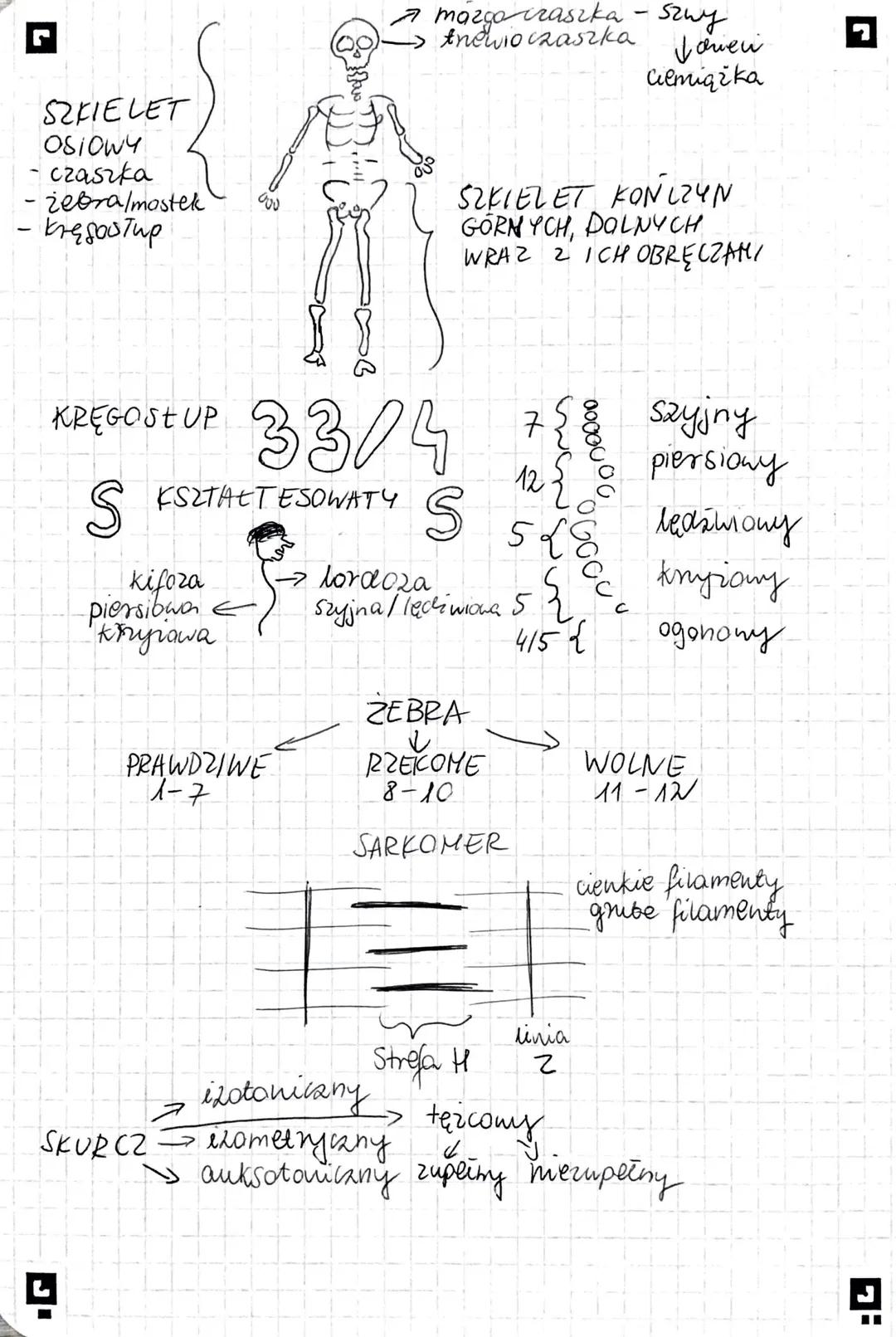 nasada
nasada
>
BUDULEC SZKIELETU → TKANKA KOSTNA/CHRZESTNA
know
O
30
MIĘŚNIOWY
- czynny
STAWY
UKŁADY RUCHU
Listata
gabozasta
SUC
istota bit