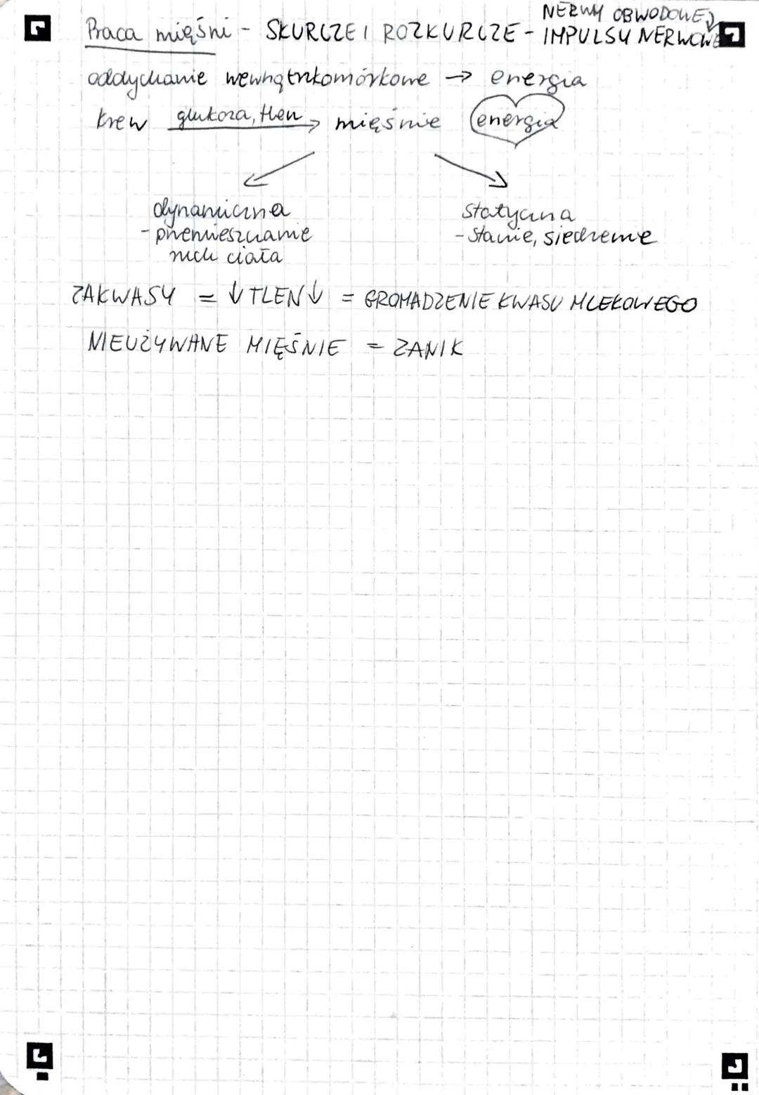 nasada
nasada
>
BUDULEC SZKIELETU → TKANKA KOSTNA/CHRZESTNA
know
O
30
MIĘŚNIOWY
- czynny
STAWY
UKŁADY RUCHU
Listata
gabozasta
SUC
istota bit