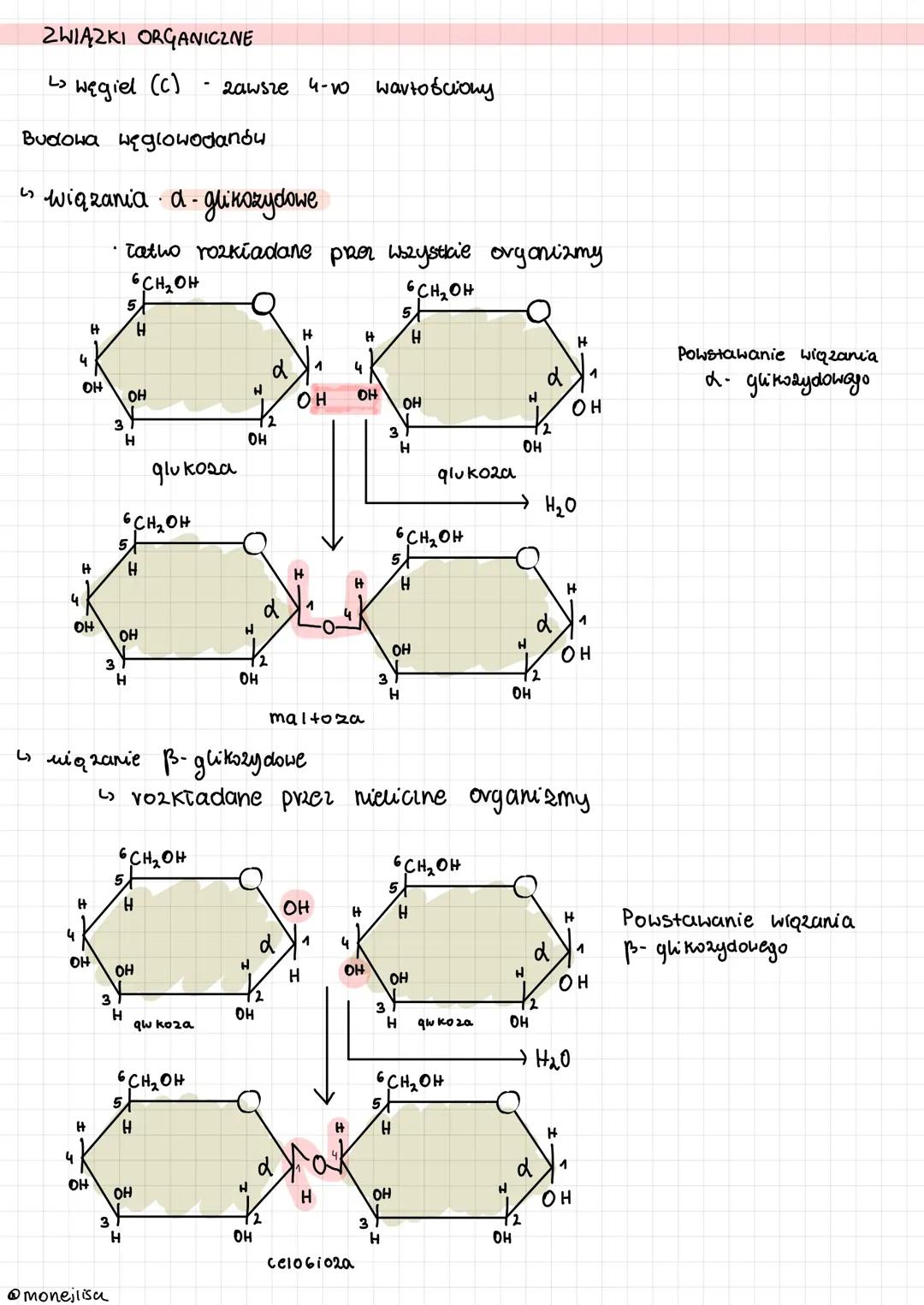 Węglowodany: Kompendium Wiedzy