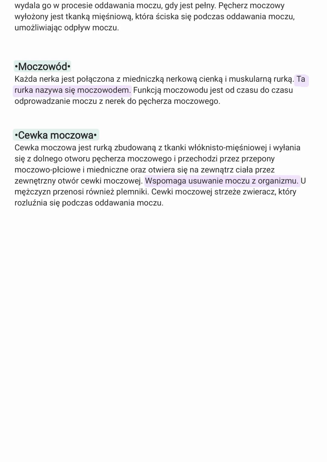 Układ oddechowy.
Płuca - są narządem odpowiadającym
za wymianę gazowa organizmu..
Tchawica
--ma kształt elastycznej rury, przez która
powiet