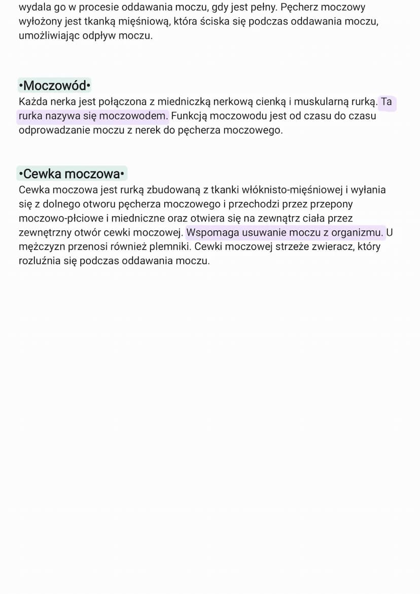 Układ oddechowy.
Płuca - są narządem odpowiadającym
za wymianę gazowa organizmu..
Tchawica
--ma kształt elastycznej rury, przez która
powiet