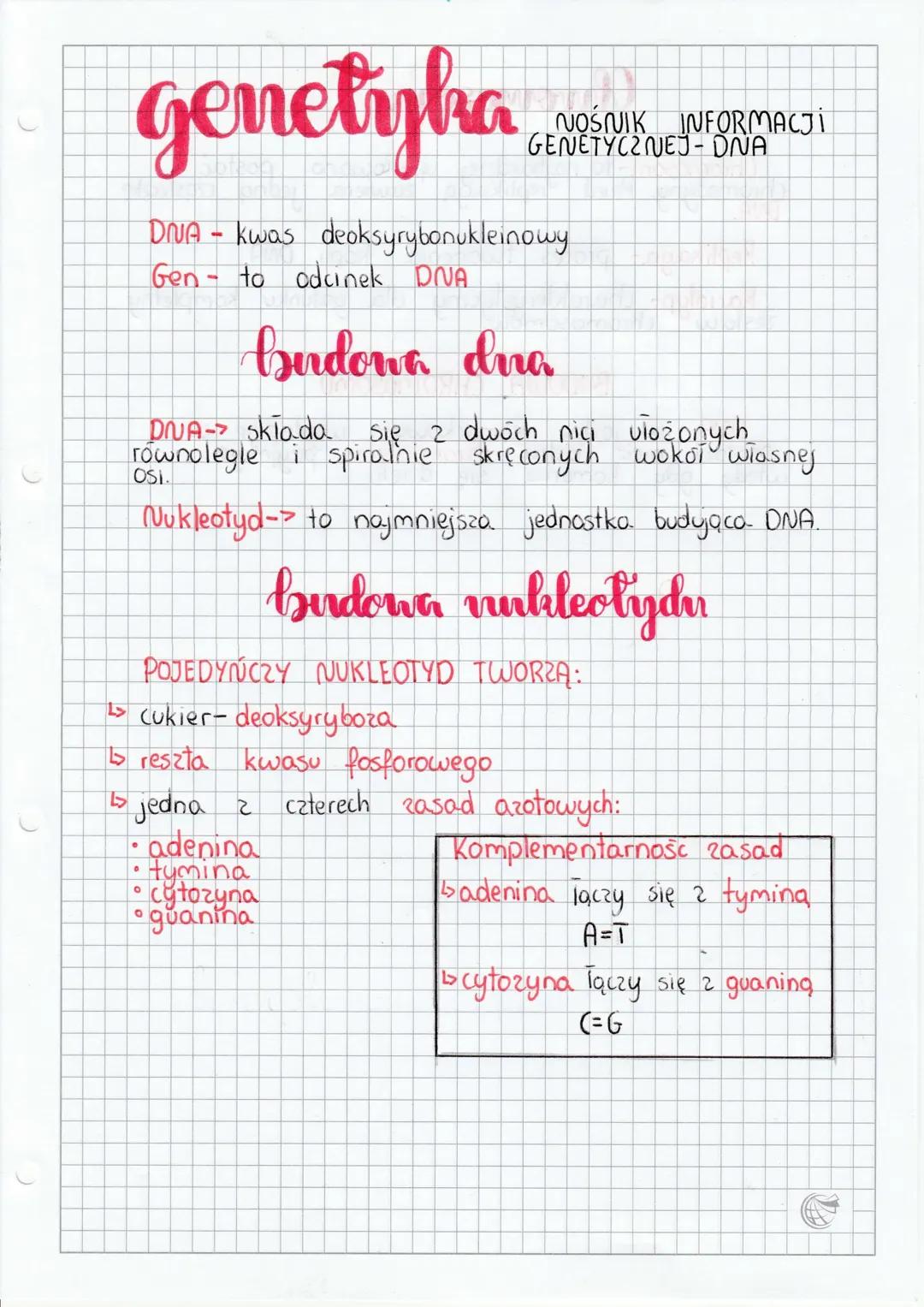 DNA jako nośnik informacji genetycznej - Struktura i Funkcje