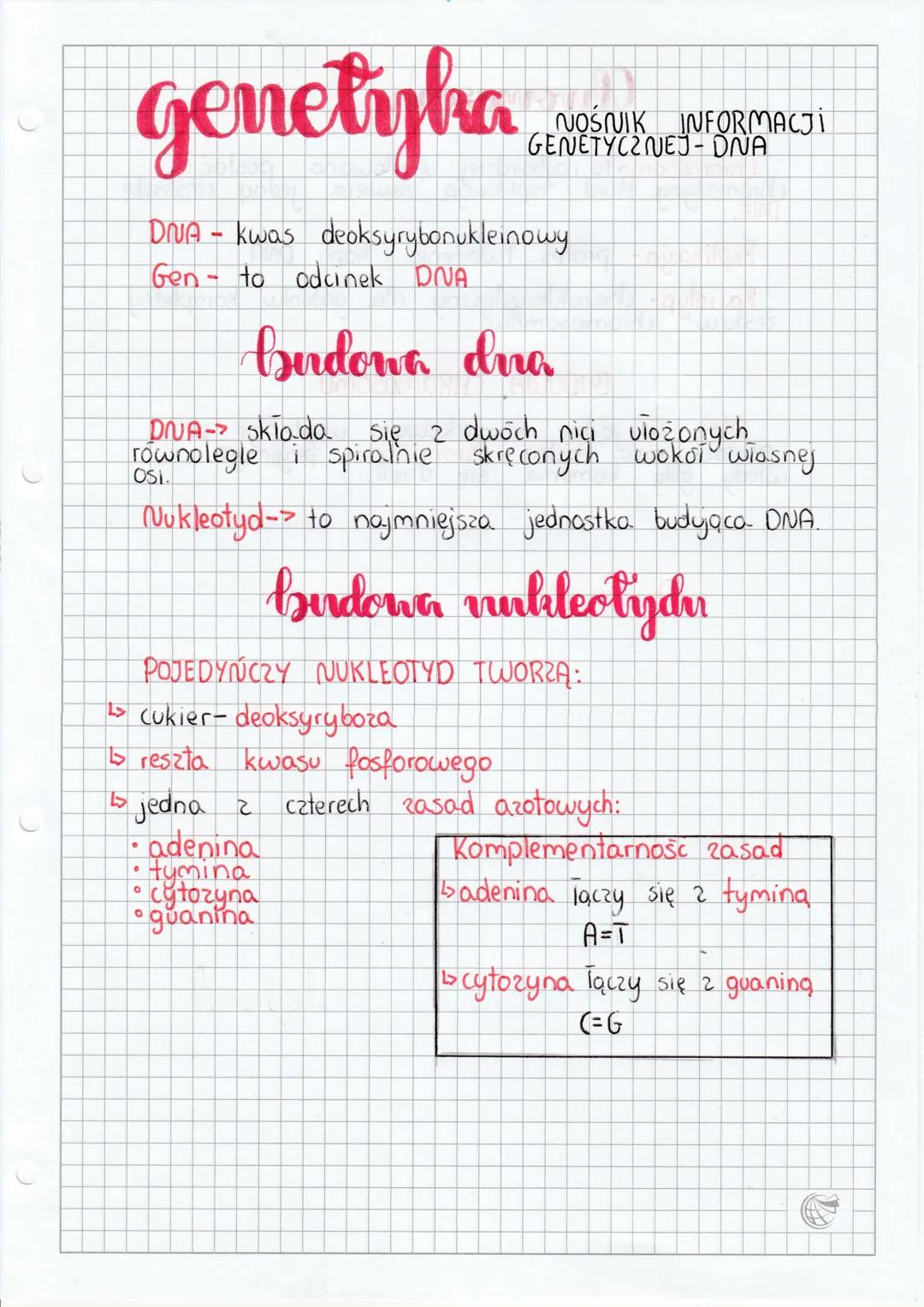 genetyka
DNA - kwas deoksyrybonukleinowy.
Gen - to odcinek DNA
budowa dra
NOŚNIK INFORMACJI
GENETYC2 NEJ- DNA
się nici
równolegle spiralnie 