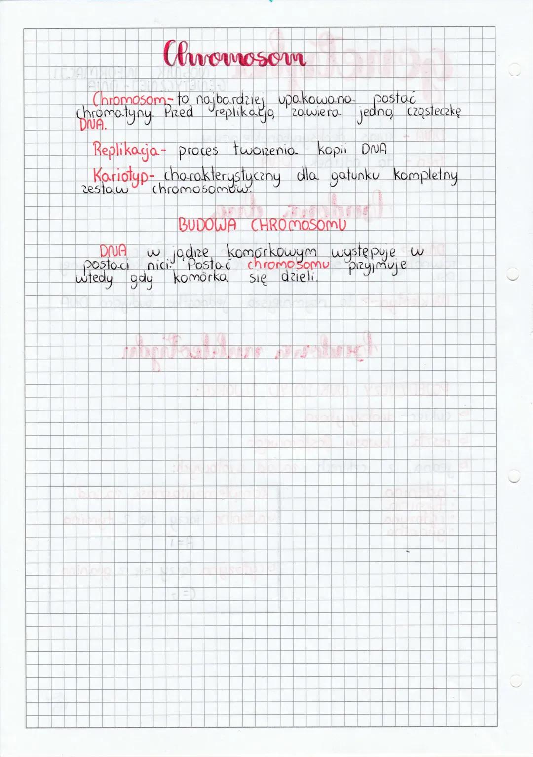 genetyka
DNA - kwas deoksyrybonukleinowy.
Gen - to odcinek DNA
budowa dra
NOŚNIK INFORMACJI
GENETYC2 NEJ- DNA
się nici
równolegle spiralnie 