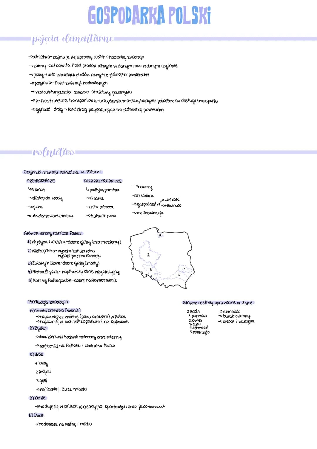 Czynniki i Warunki Rozwoju Rolnictwa w Polsce - Geografia Klasa 7